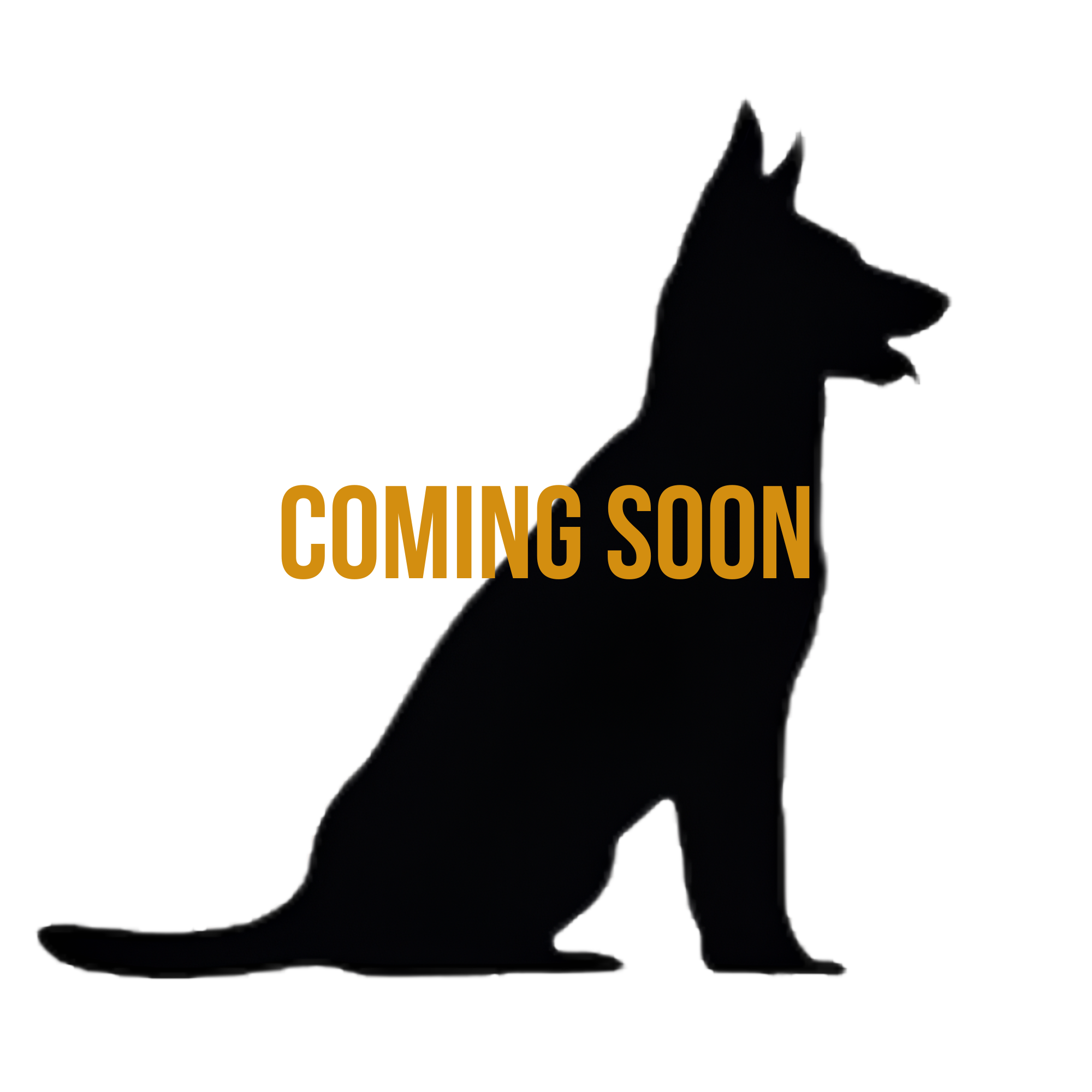 K9