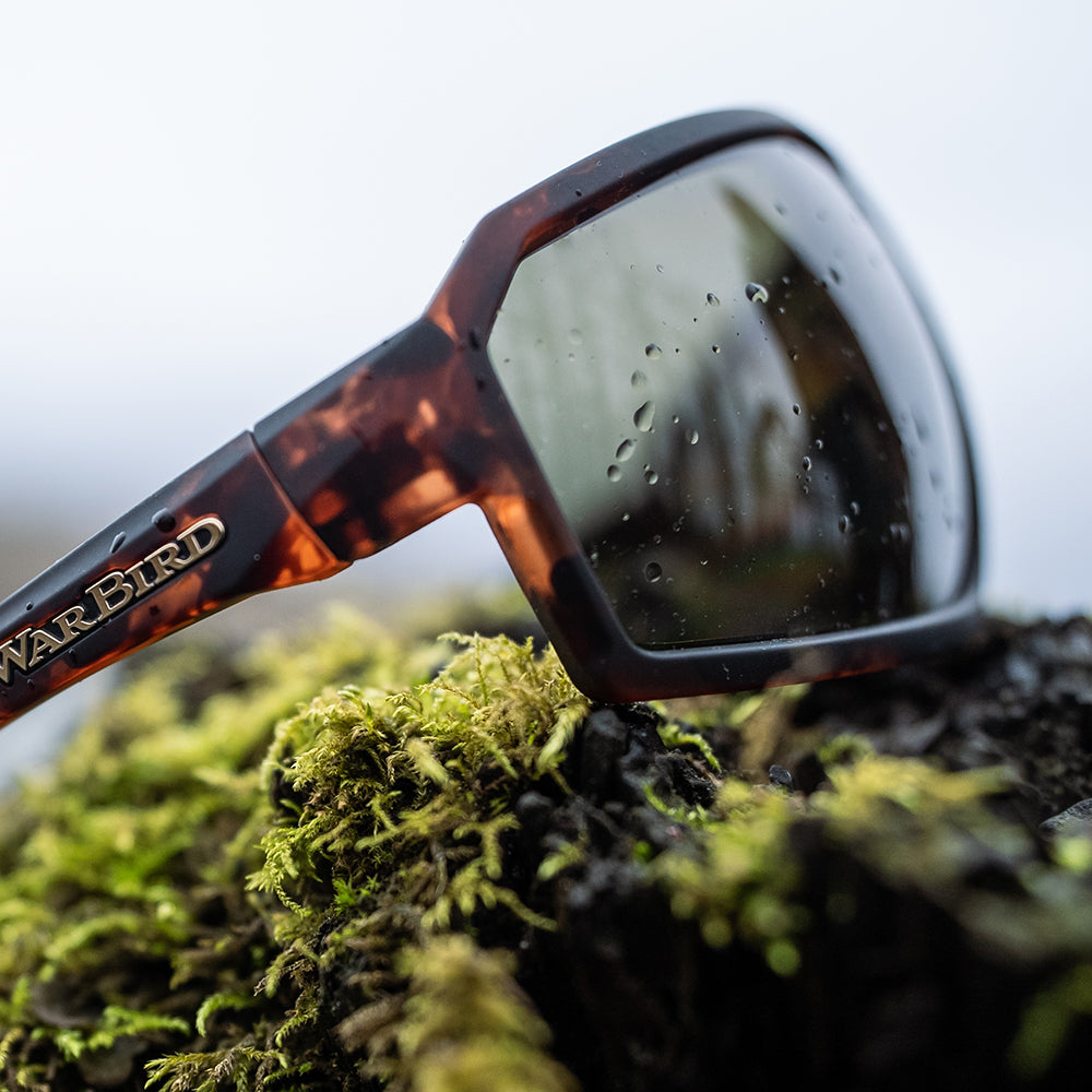 VLT Understand Your Lenses, Your Environment, and Make Good Choices